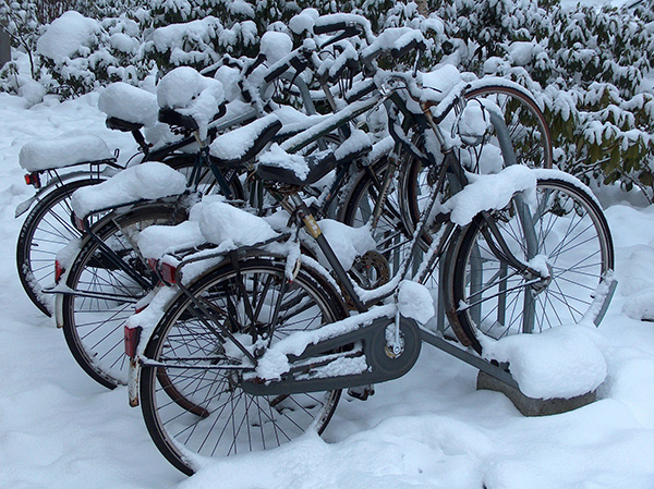 Зимой не разрешат парковаться на велополосах.